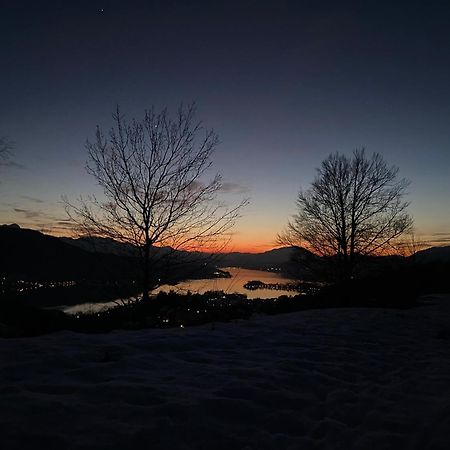 Urlaub für Mensch und Tier - Appartements Pirkhof Pörtschach am Wörthersee Exterior foto