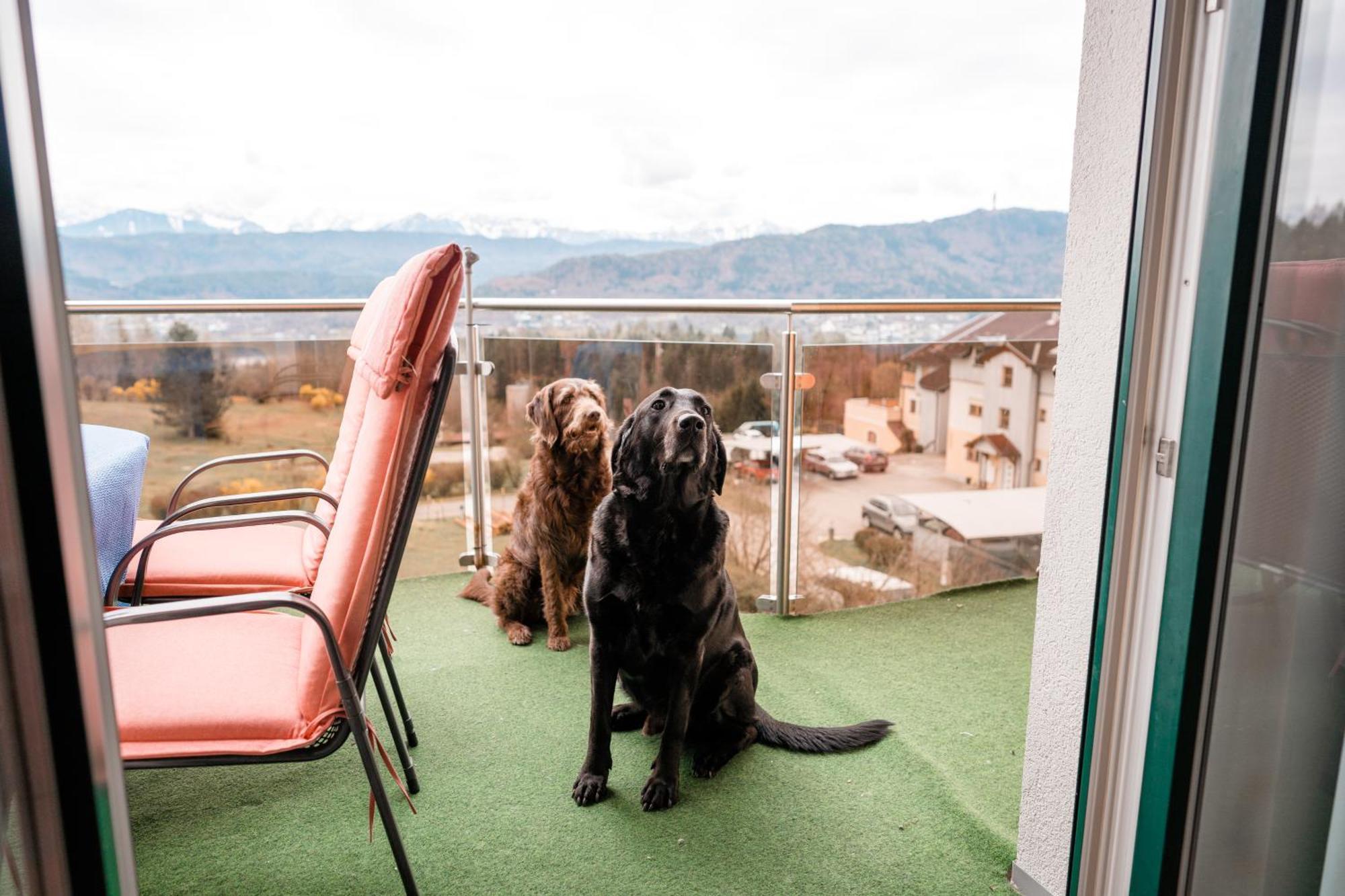 Urlaub für Mensch und Tier - Appartements Pirkhof Pörtschach am Wörthersee Exterior foto